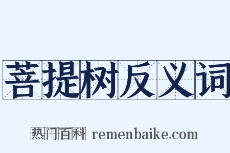 菩提树反义词是什么意思的图片